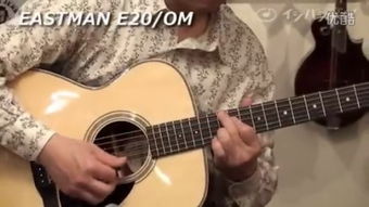 eastman e10 om,Eastman E10 OM: A Comprehensive Overview