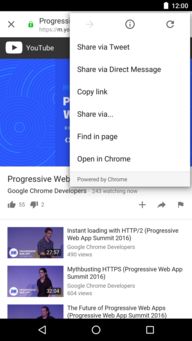 chrome om flyer,Chrome OM Flyer: A Comprehensive Guide