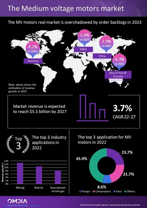 2022 om flyer,2022 OM Flyer: A Comprehensive Overview