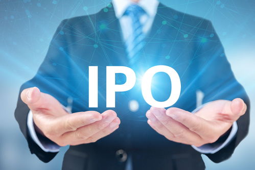 om ipo,Understanding the IPO Process