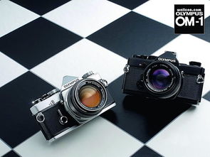 canon r7 vs olympus om-1,Canon R7 vs Olympus OM-1: A Comprehensive Comparison