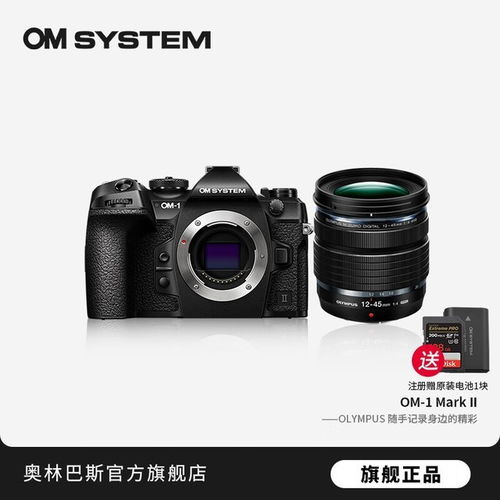 om 1 mark 2,OM 1 Mark 2: A Comprehensive Overview