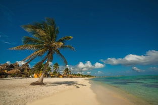 om tulum beach club,Om Tulum Beach Club: A Paradise Unveiled