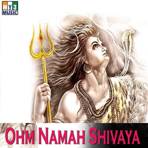 benefits of chanting om sham shanicharaya namah,Understanding the Significance of “Om Sham Shanicharaya Namah”