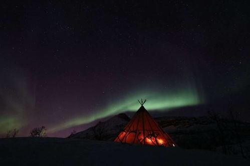 kampen om narvik oppgaver,The Battle of Narvik: A Detailed Overview