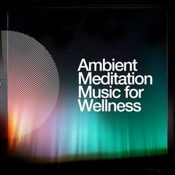 meditation music om,Meditation Music Om: A Comprehensive Guide