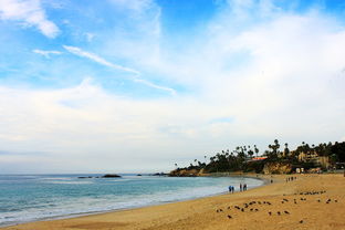 om laguna beach,Om Laguna Beach: A Comprehensive Guide to Southern California’s Hidden Gem