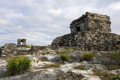 om tulum,Understanding the Power of OM Tulum