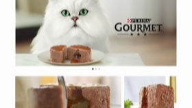 om purina cat,Om Purina Cat: A Comprehensive Guide