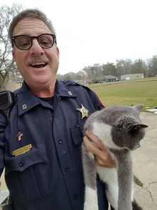 calcasieu parish sheriff divers om tank farm road,History of Tank Farm Road