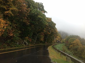 blue ridge parkway ranger arrested om drug chargges,Blue Ridge Parkway Ranger Arrested on Drug Charges: A Detailed Look