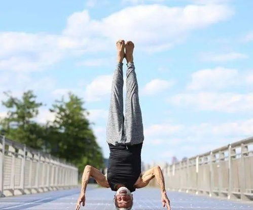 dharma mittra om namah shivaya,Understanding Dharma Mittra