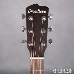 breedlove passport om fs review,Understanding Breedlove Passport OM FS