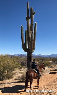 cave creek om you tube,Cave Creek: A YouTube Journey