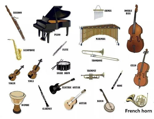 cello.rosin om viola,Cello. Rosin. Viola: A Comprehensive Guide